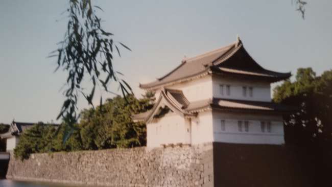 A small glimpse into the Imperial Palace