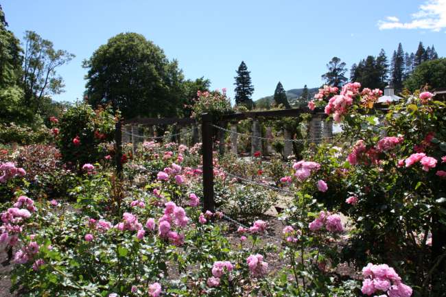 Botanical Garden Dunedin