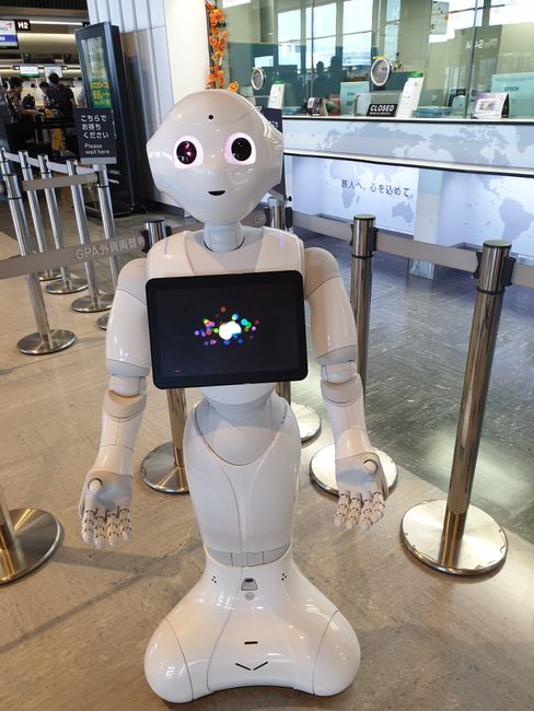Airport robot - didn't really help much