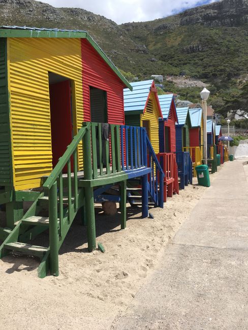 Bunte Strandhäuser auf dem Weg Richtung Cape Point