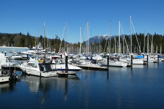 Royal Vancouver Yacht Club