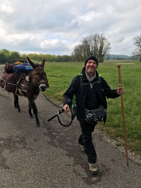 Jakobsweg mit Esel