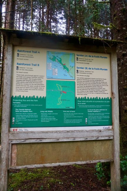 Canada - Day 7 (1) - Rainforest Trail at Tofino