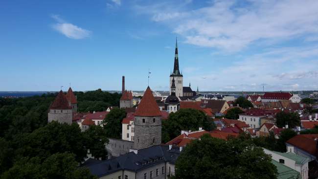 Altstadt Tallinn 