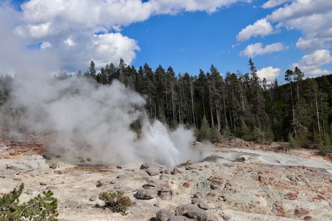 Yellowstone National Park