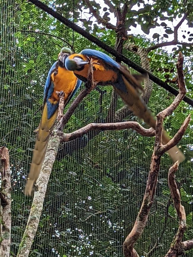 07.06.2022 - Vogelpark und Wasserfälle