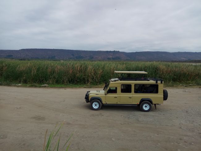 The jeep, Lake Manyara