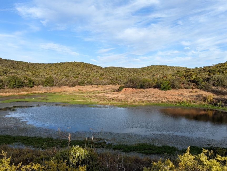 Knysna, Mossel Bay, Oudtshoorn