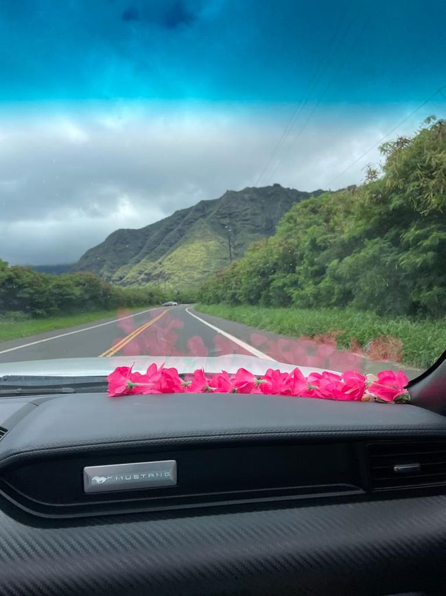 Cabrio Roadtrippen Hawaii