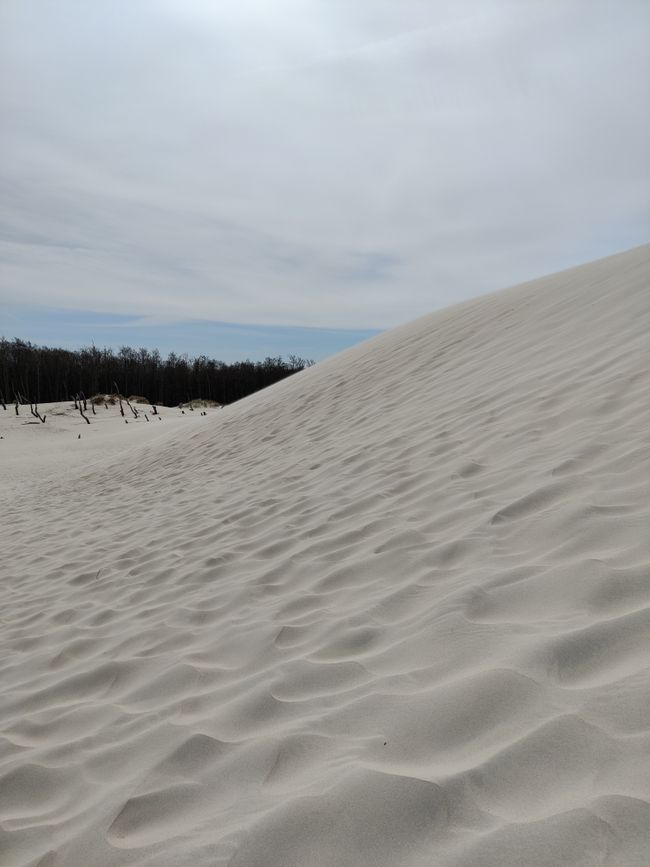 Wandering Dune 