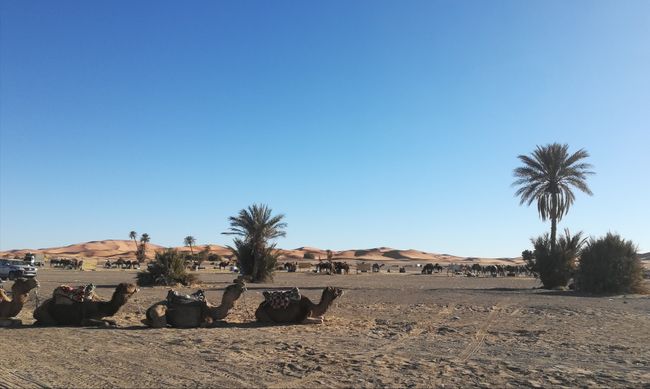 Tag 3: Merzouga, Marhaba Camp, Sahara 🏜️☀️🐪