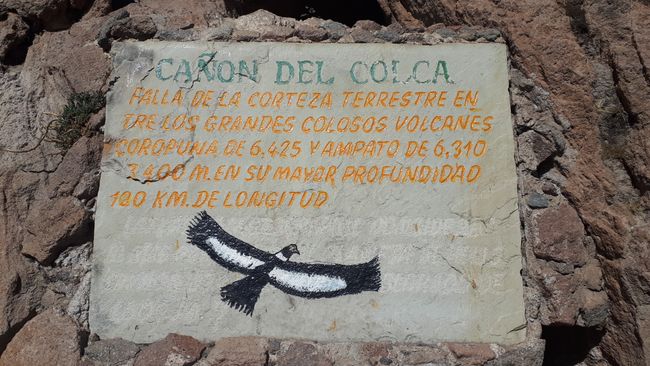 Colca Canyon & Arequipa