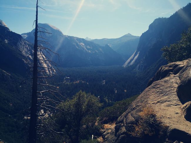 Day 14 - Yosemite National Park