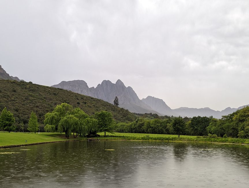 Weintasting's in Stellenbosch