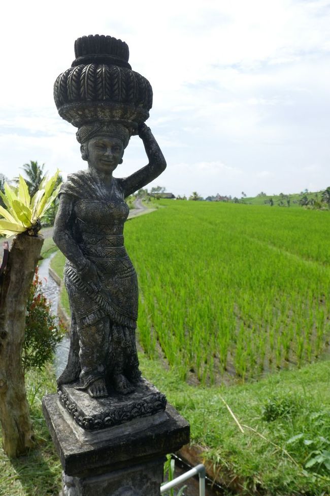 Statue in front of rice fields