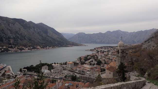 The invasion of cats and further ascent in Kotor