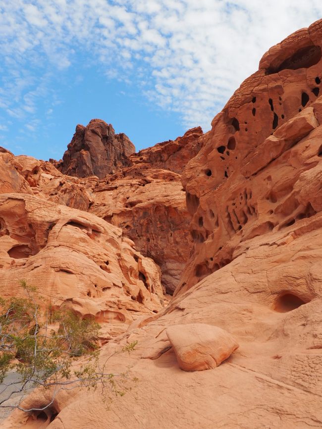 14.8.22 - Valley of Fire