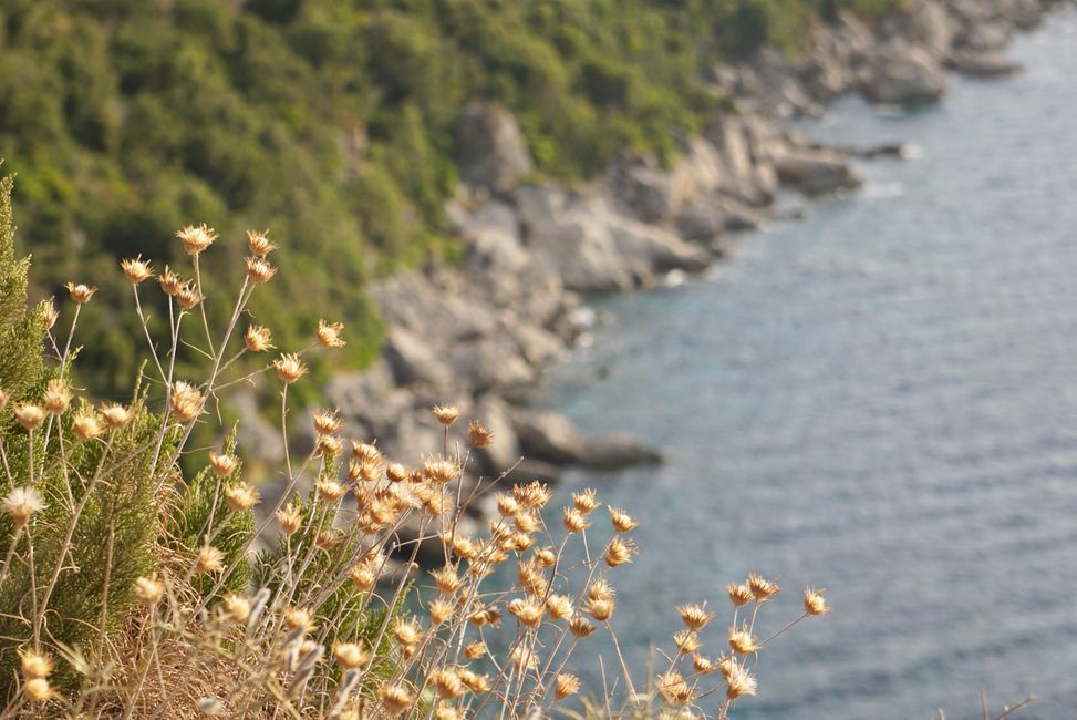 Afionas und Porto Timoni
