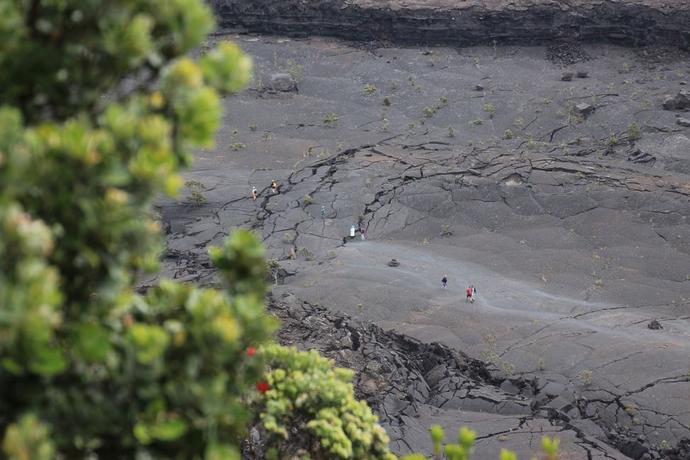 Kilauea Iki Crater Overlook 