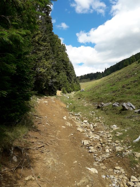 Abstieg zum Gârdişoara