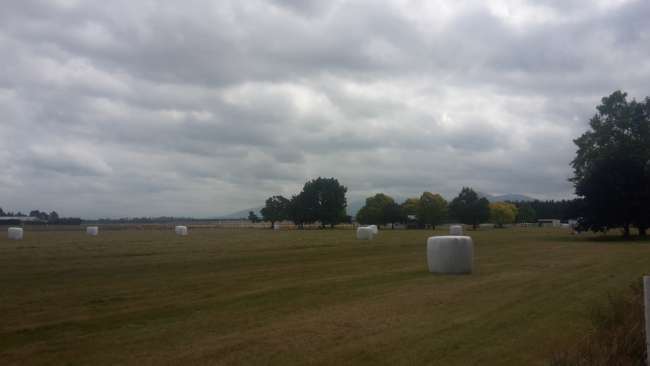 Field with Hay Bales
