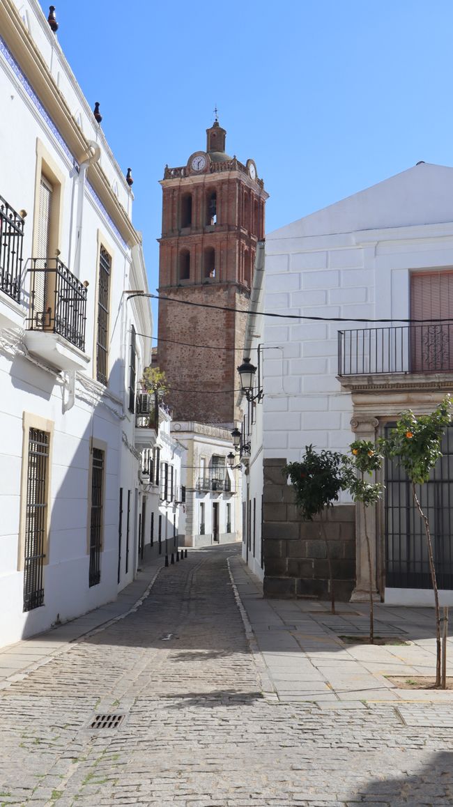 14 savaitė – Holá Extremadura, Ispanija