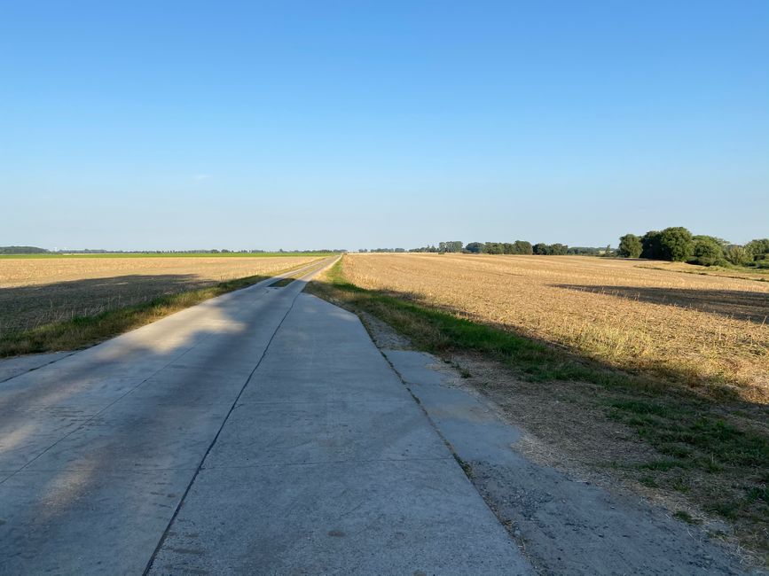 "Kranichblick" - irgendwo im Osten