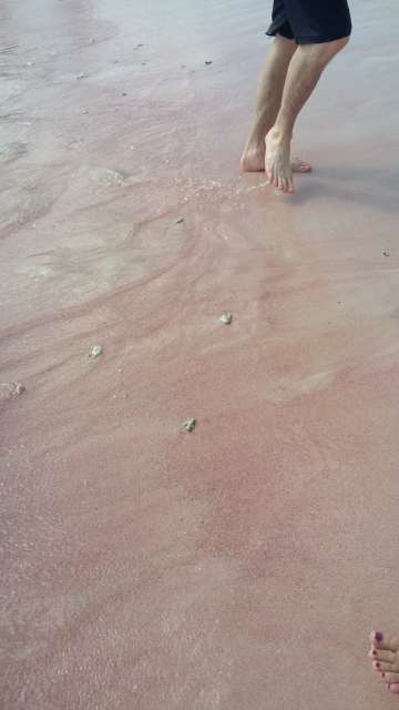 Pink Beach- Indonesien