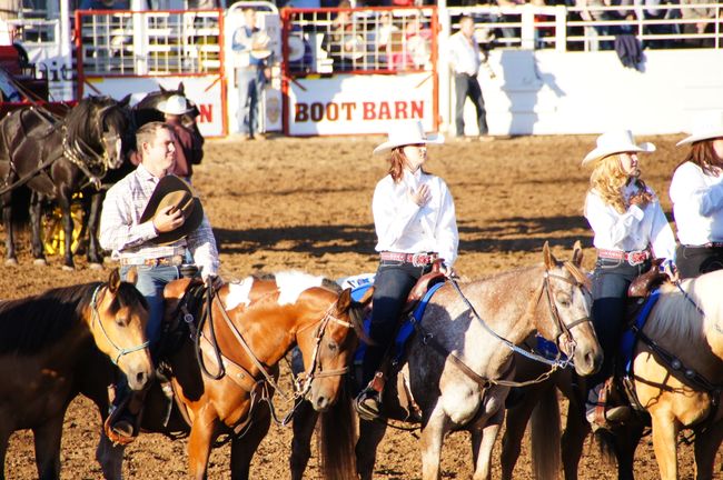 St. Paul Rodeo (1) - with 10,000 spectators in a 400-person village