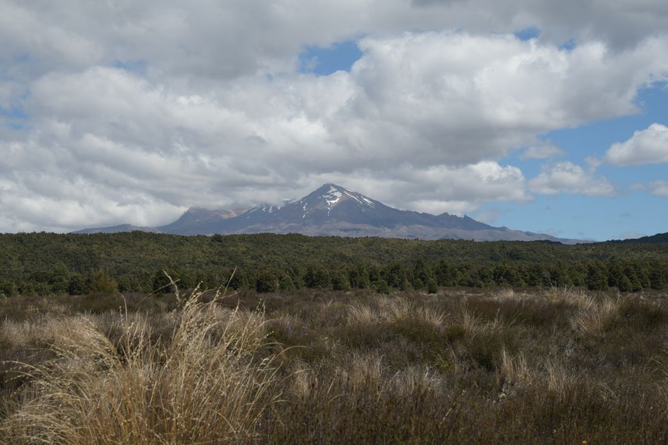 Desert Road: View to Mt.Ngauruhoe