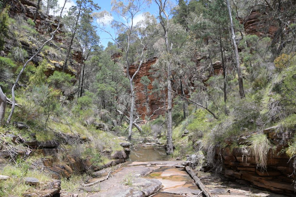 Flinders Ranges - Alligator Gorge Loop Trail