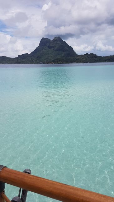 Tag 43 Bora Bora