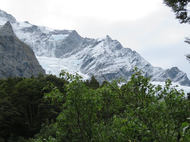 Rob Roy’s Glacier 🌿❄️