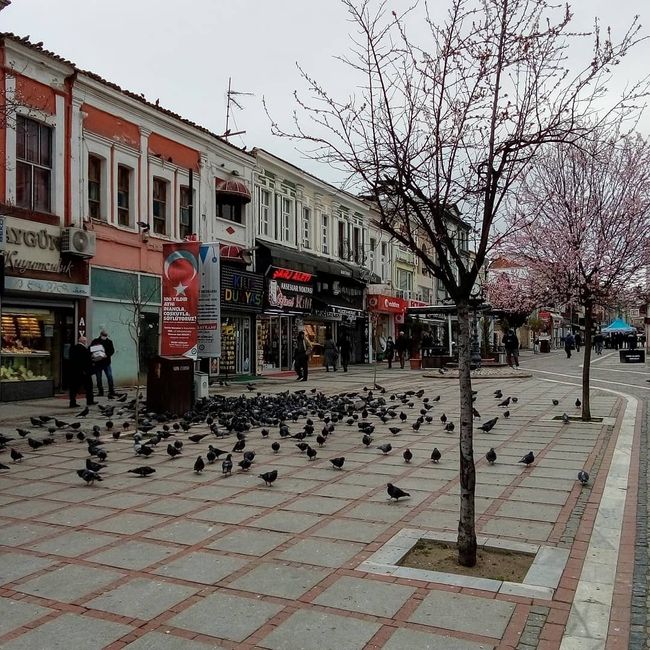 Pedestrian street in Edirne