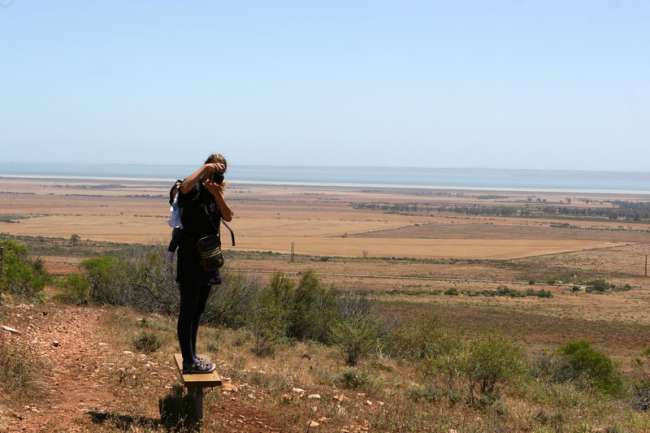 Day 31: Port Augusta - Mount Remarkable National Park - Clare