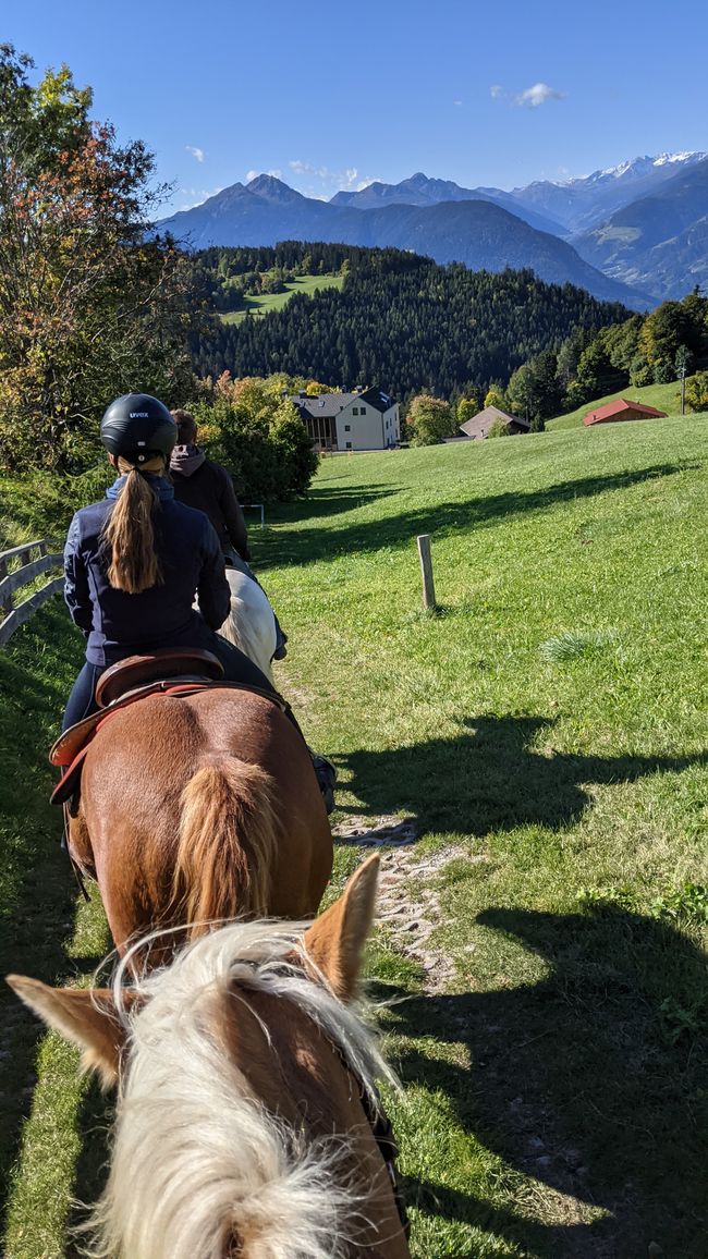 Tag 5: Horseback Riding & the Unplanned Adventure Hike
