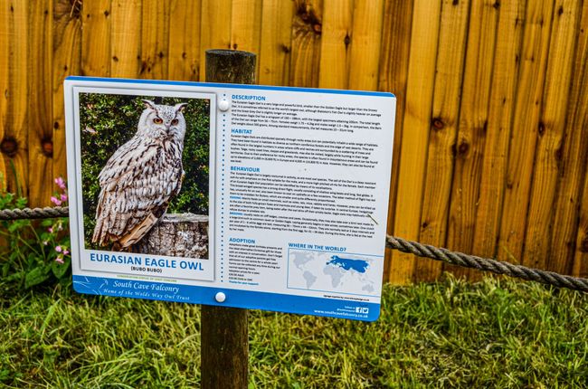 Day 68 - Meet & Greet with owls and Noses Point