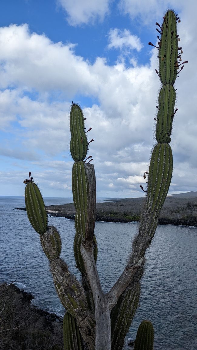 Dag 32 en 33 Puerto Narino - San Cristobal Galapagos