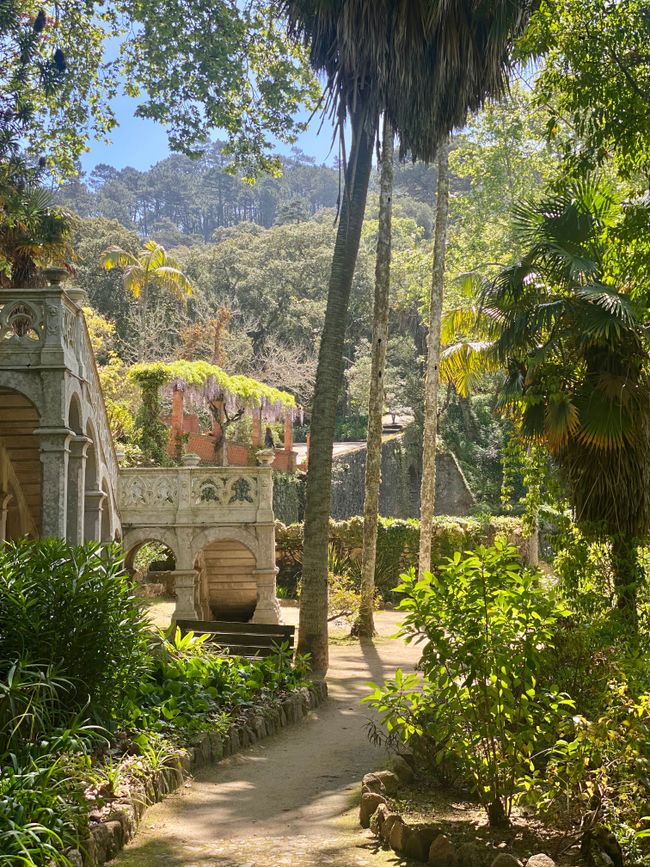 Não entrada, não burros, aber trotzdem schön 😻 