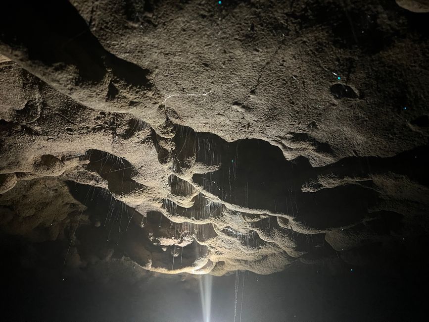 Waitomo - Spellbound Cave - Glowworms