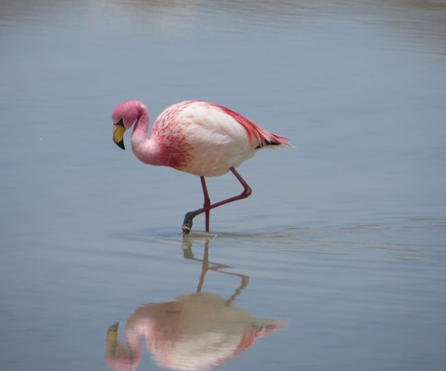 Salar de Uyuni