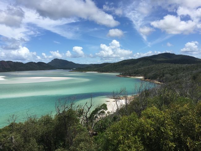 Cairns bis Brisbane - man ist das hübsch!
