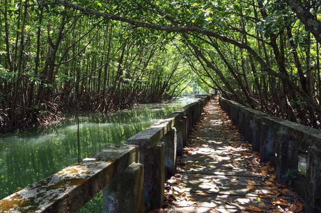 Koh Chang