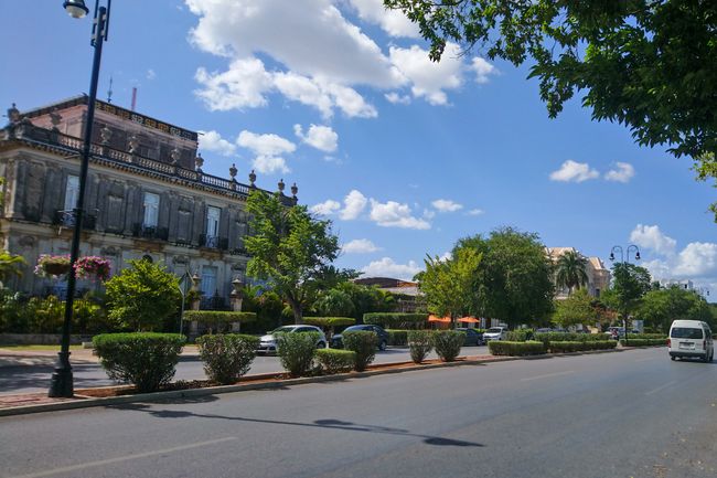 Die Prachtallee 'Paseo de Montejo' in Mérida. 