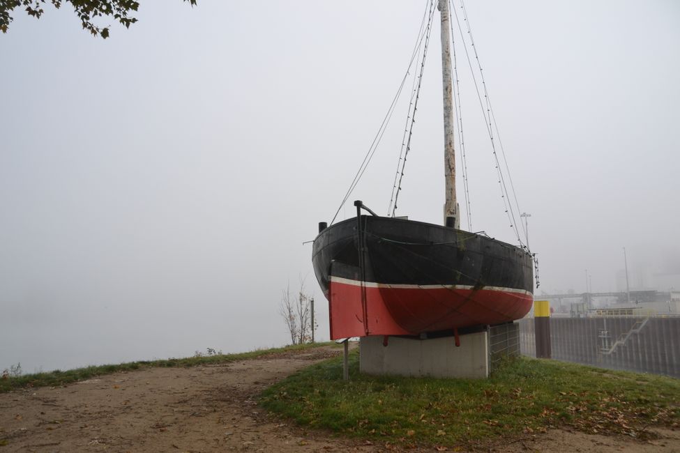 Fog on the Rhine