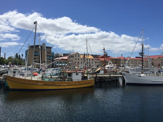 Tasmania - Hobart esangibwa mu kibuga Kampala