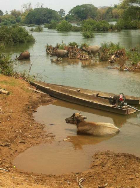 Laos – 4000 Inseln und 4000 Gründe selbige nicht mehr zu verlassen