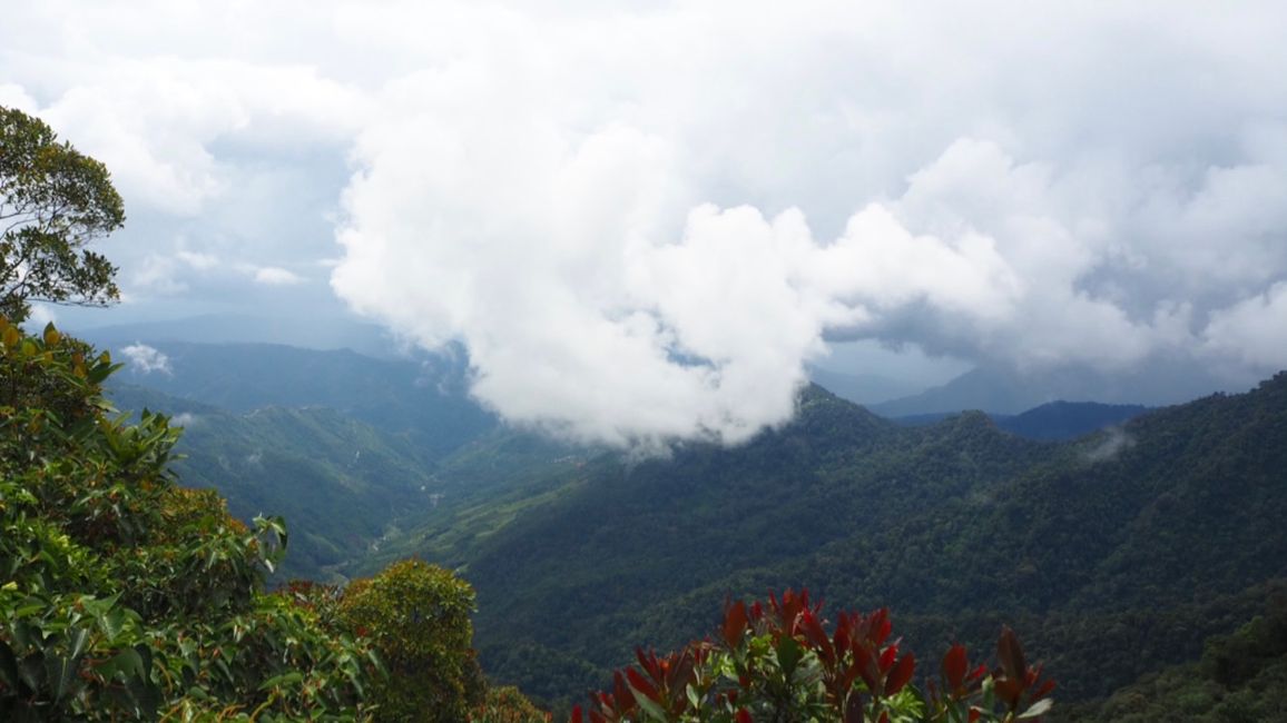 🇲🇾 Kundasang auf Borneo ⛰️ Mount Kinabalu