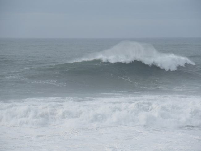Wellen bei Nazaré