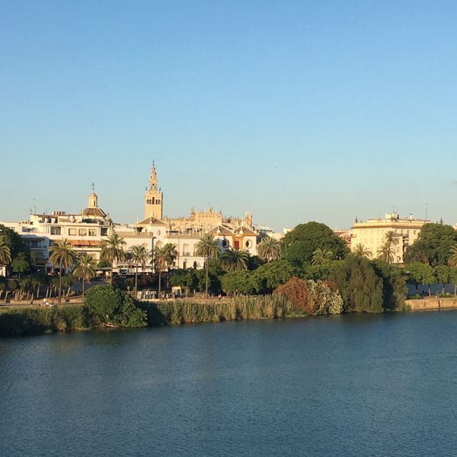 Seville - My absolute highlight in Spain.